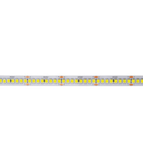 Tira LED ASPEN 24V 25W/m SMD2835 240 chips/m corte 5cm IP20 - 5 metros