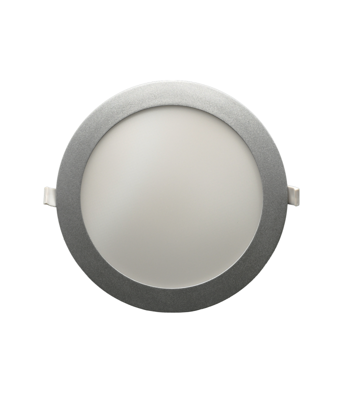 ROY PRO SILVER